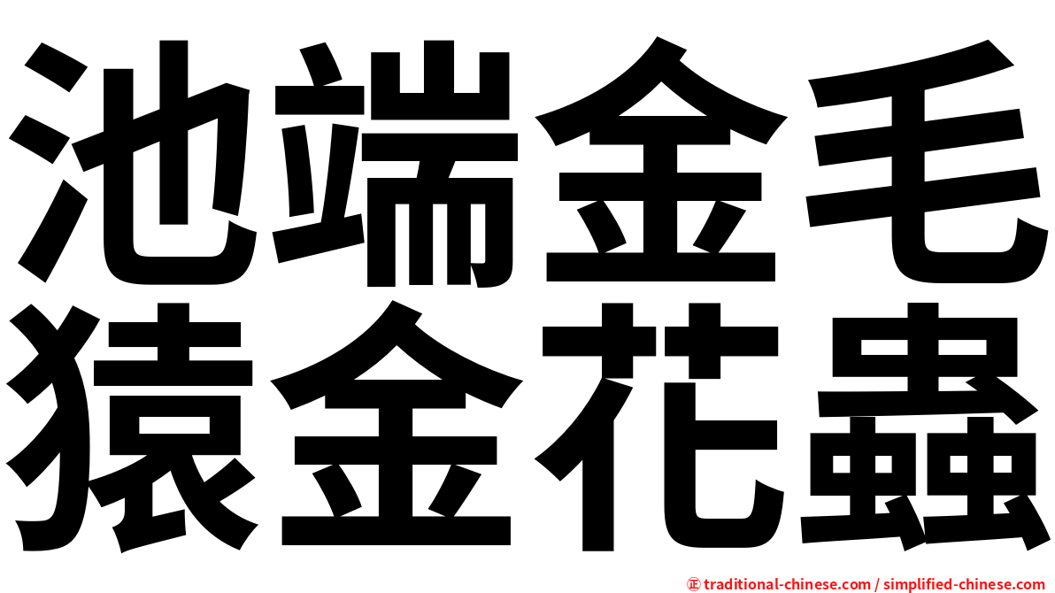 池端金毛猿金花蟲