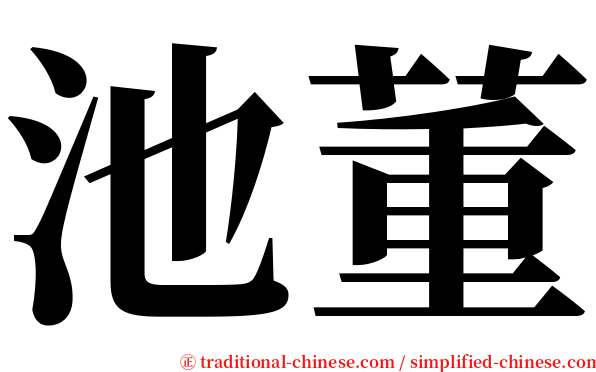 池董 serif font