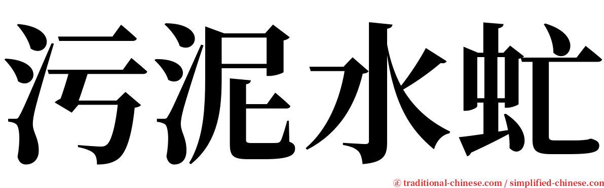 污泥水虻 serif font