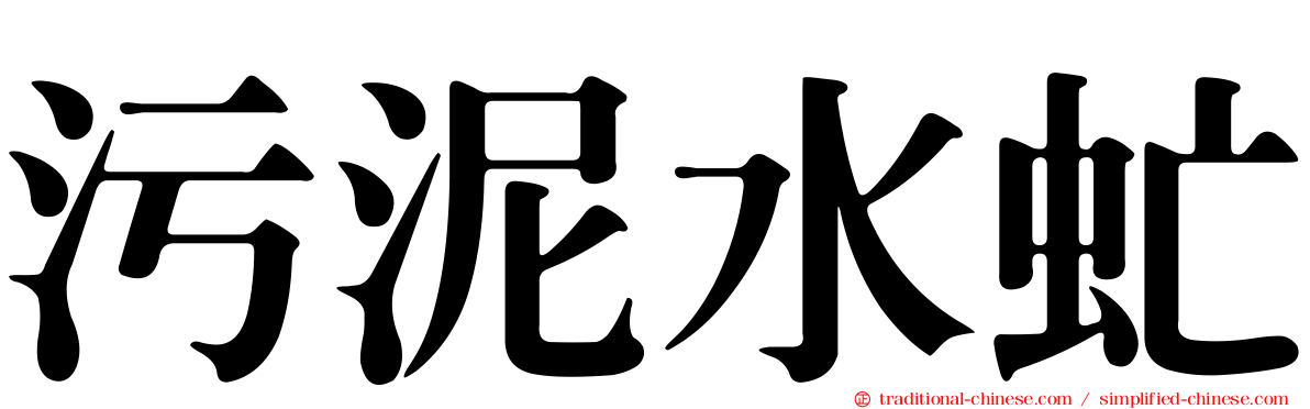 污泥水虻