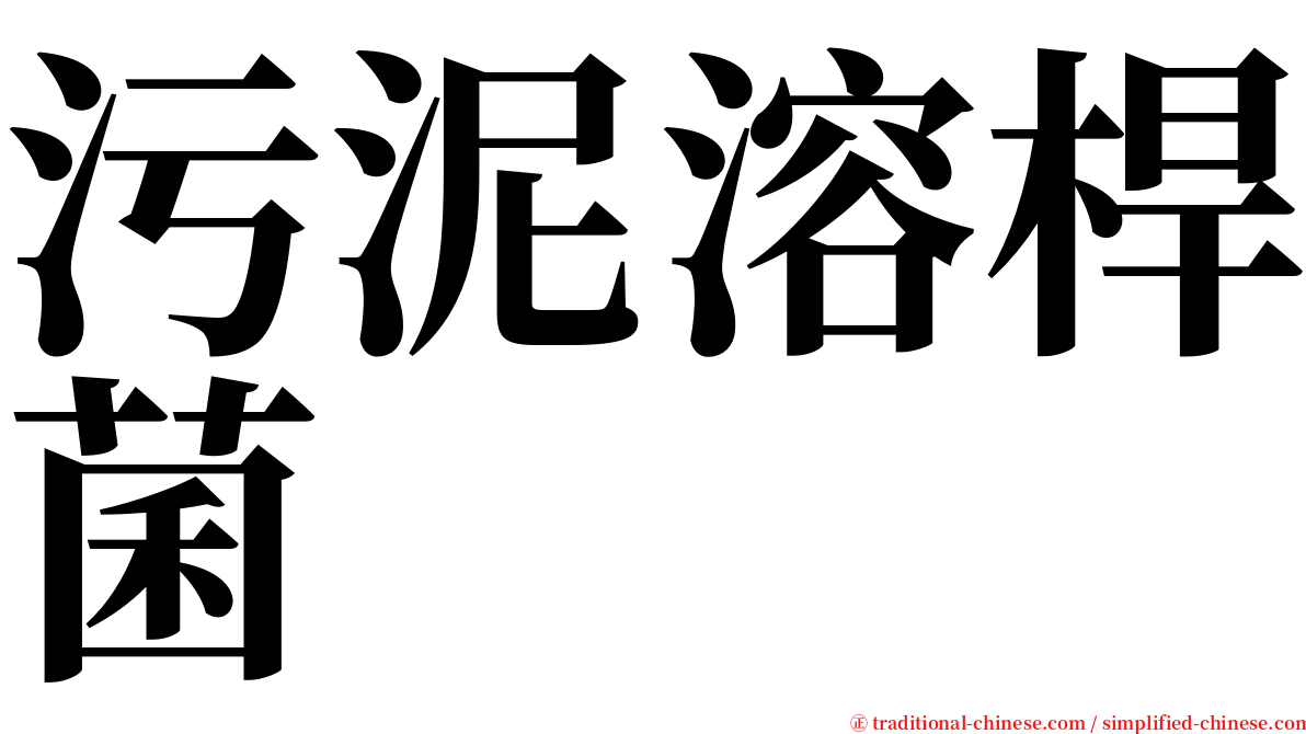 污泥溶桿菌 serif font