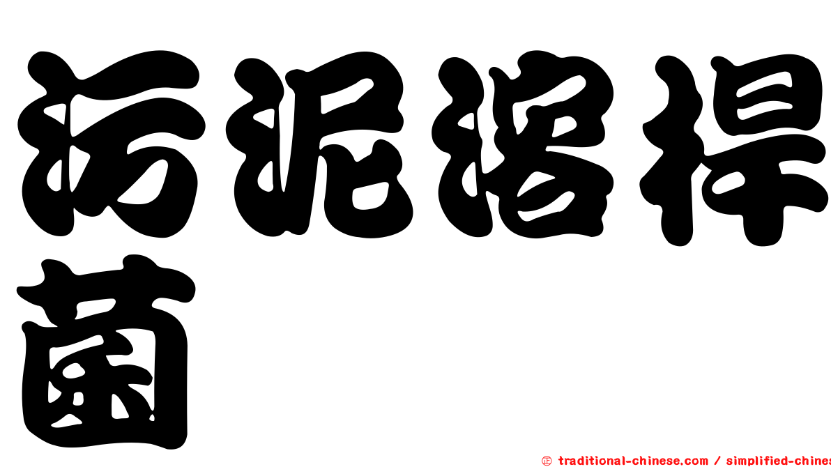 污泥溶桿菌