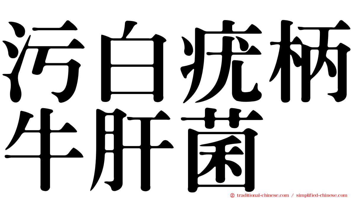 污白疣柄牛肝菌