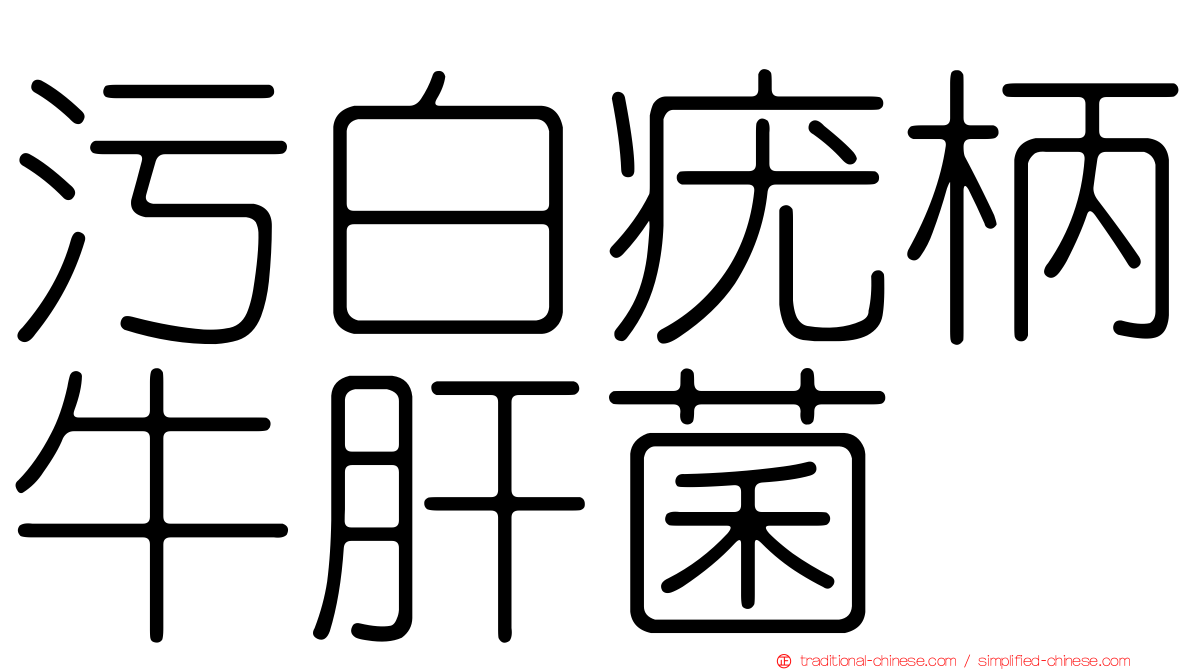 污白疣柄牛肝菌