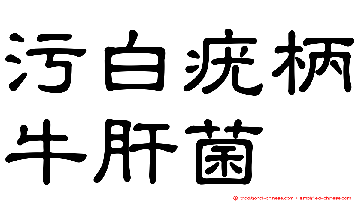 污白疣柄牛肝菌