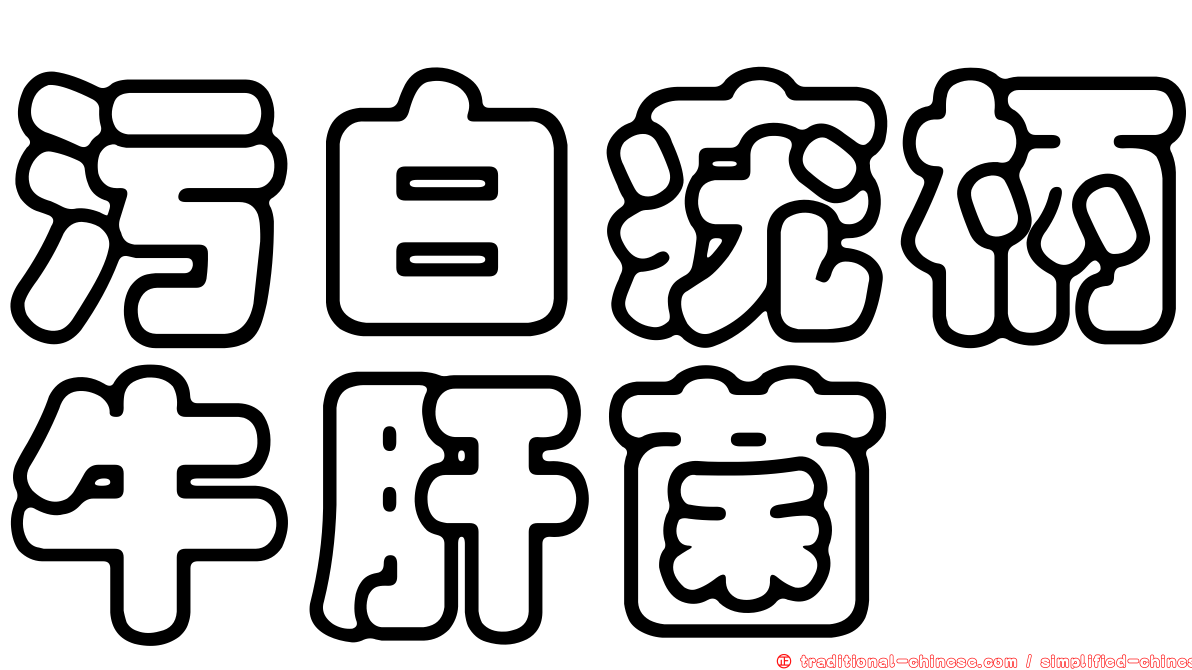 污白疣柄牛肝菌