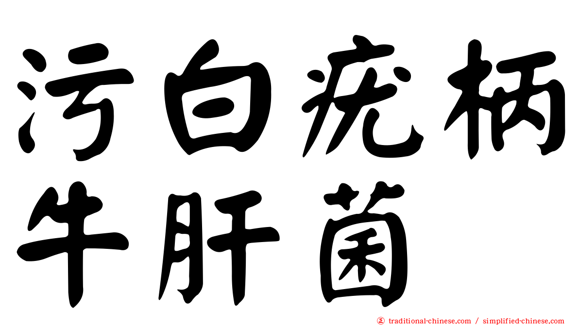 污白疣柄牛肝菌