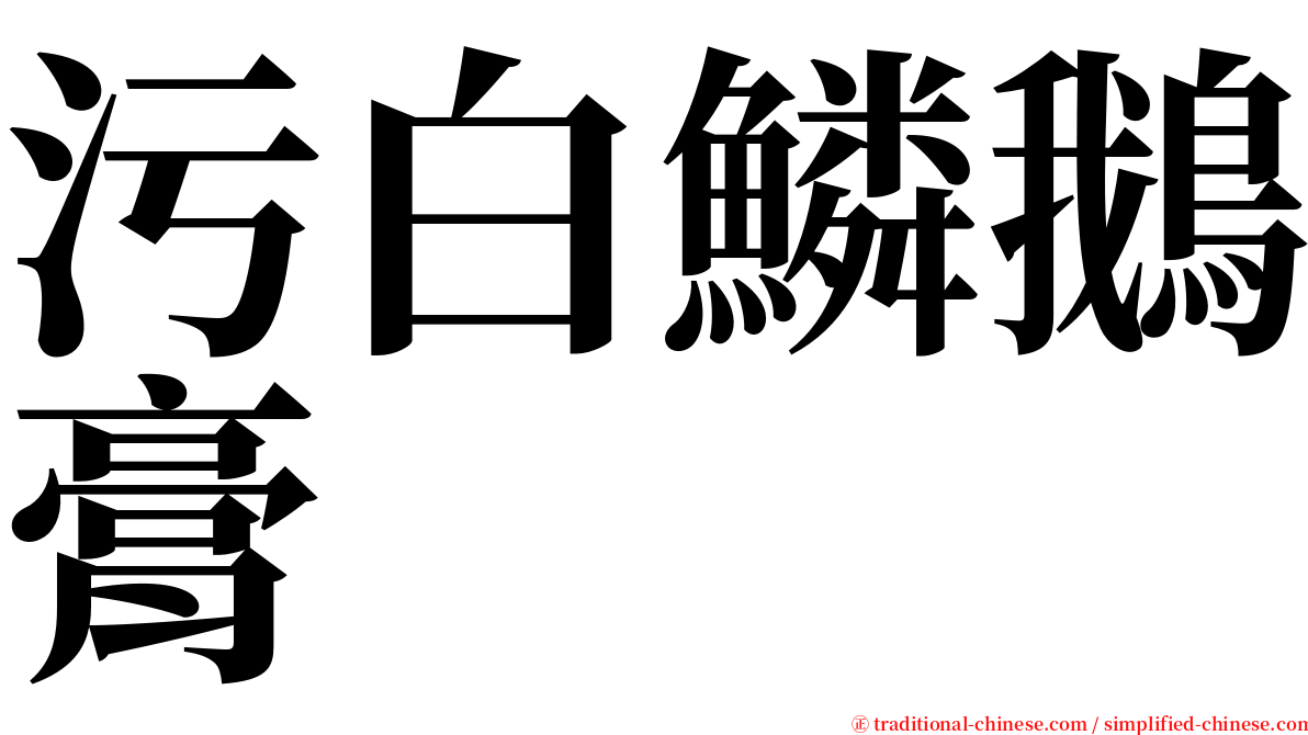 污白鱗鵝膏 serif font