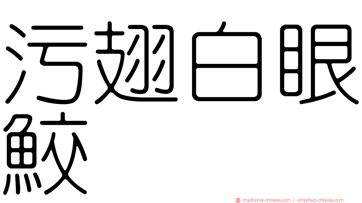污翅白眼鮫