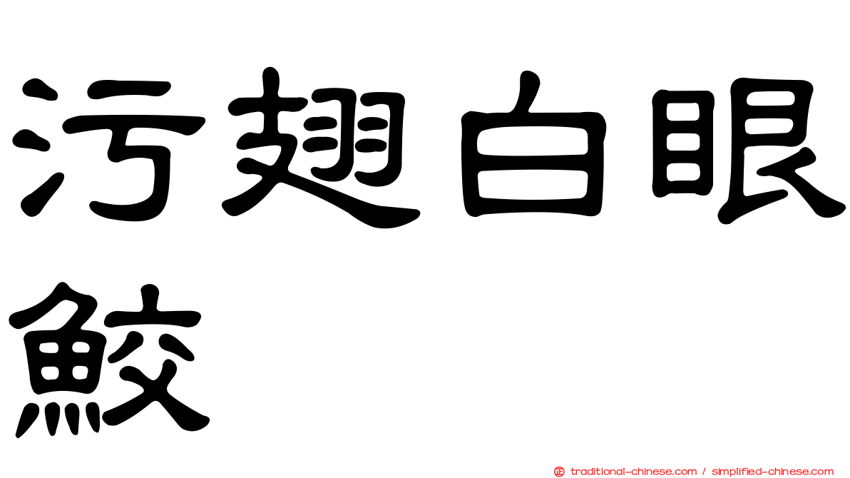 污翅白眼鮫