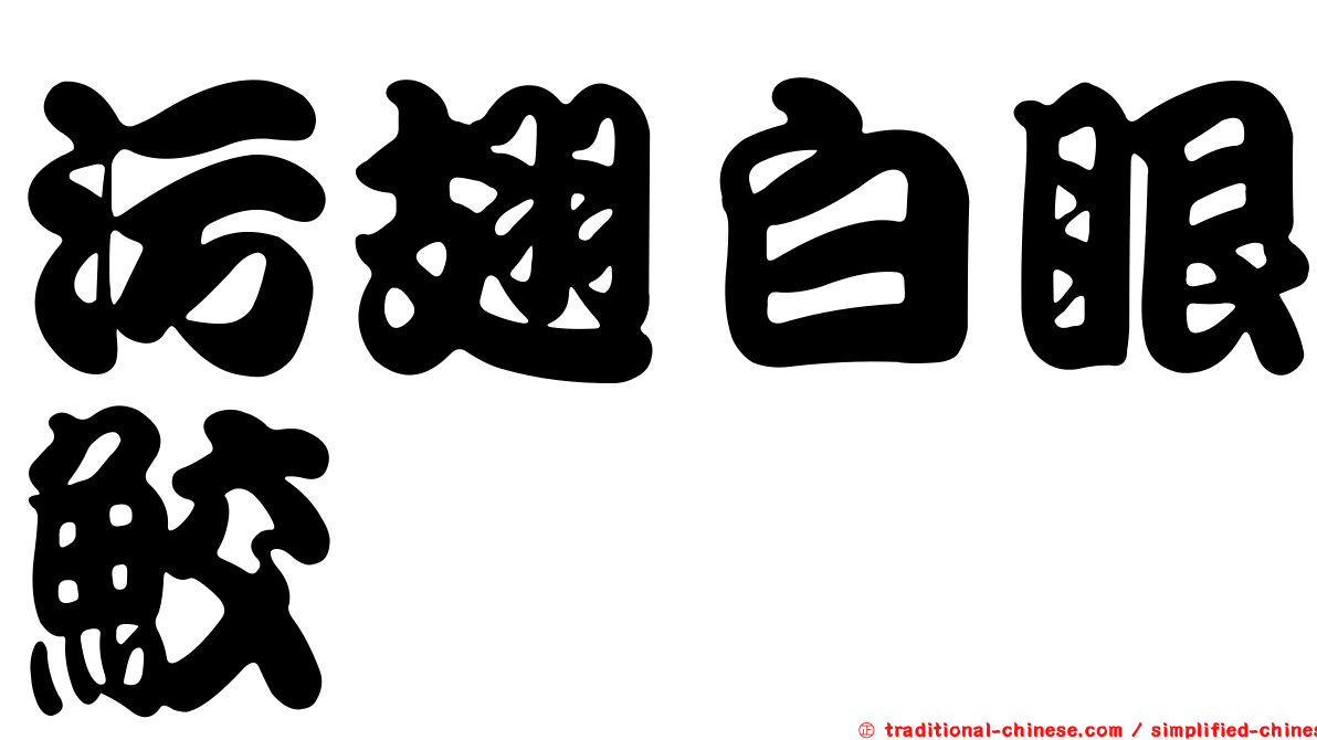 污翅白眼鮫