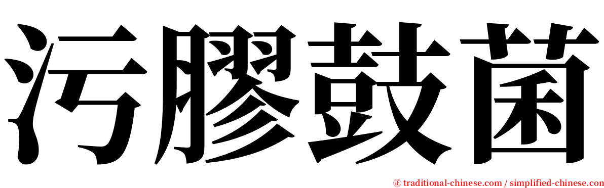 污膠鼓菌 serif font