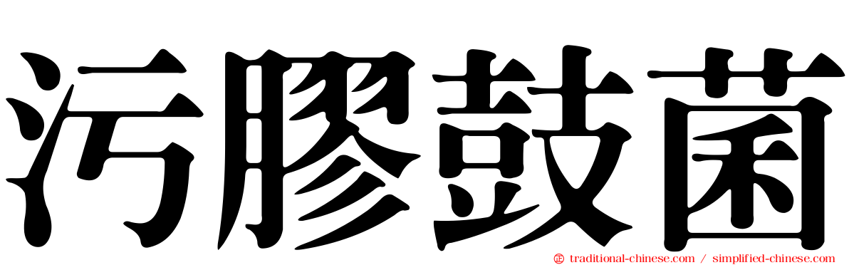 污膠鼓菌