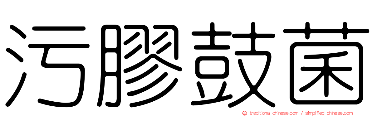 污膠鼓菌
