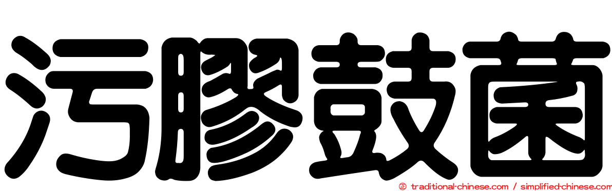 污膠鼓菌