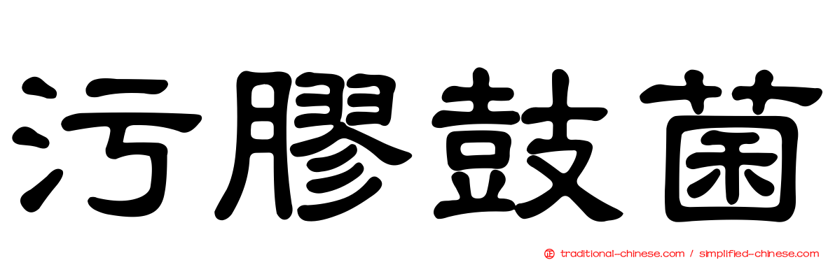 污膠鼓菌