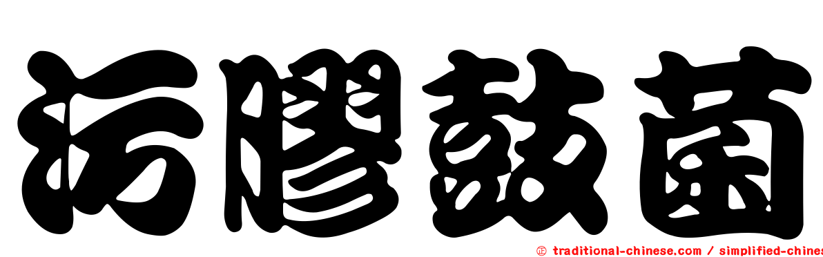 污膠鼓菌