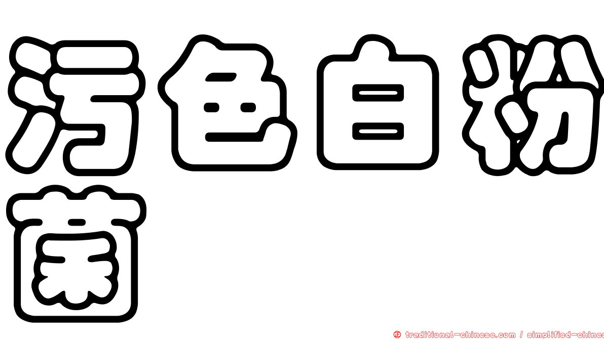 污色白粉菌