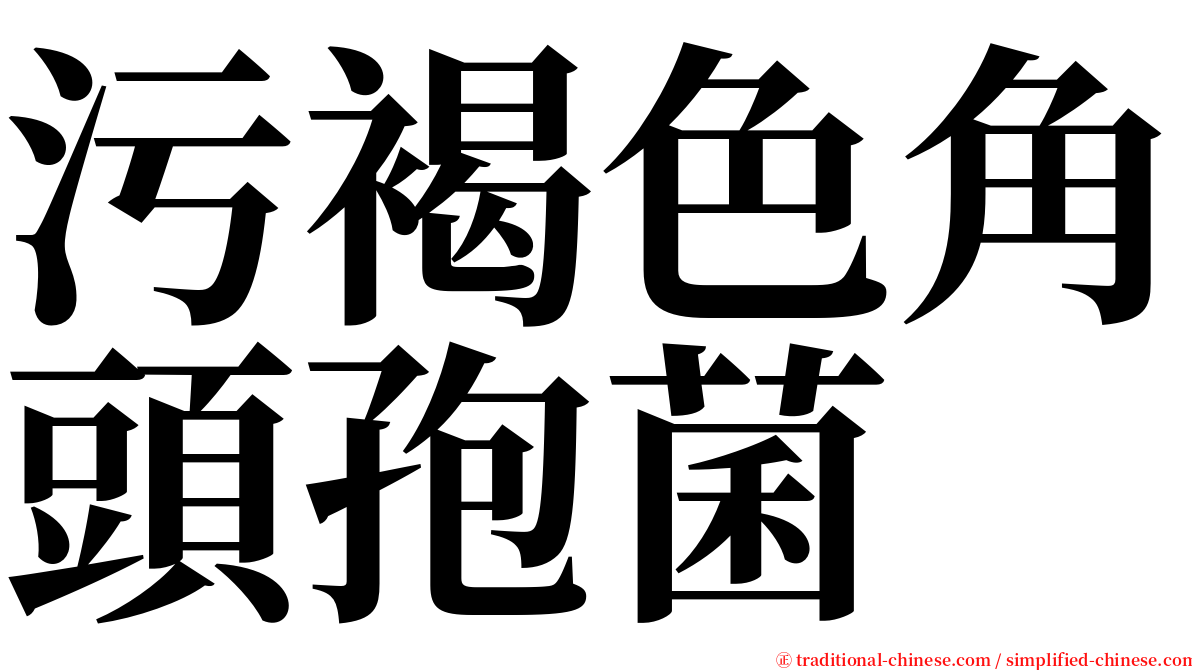 污褐色角頭孢菌 serif font
