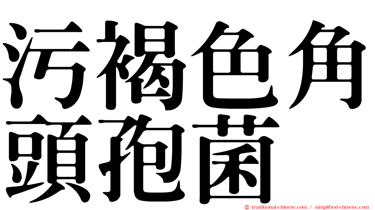 污褐色角頭孢菌