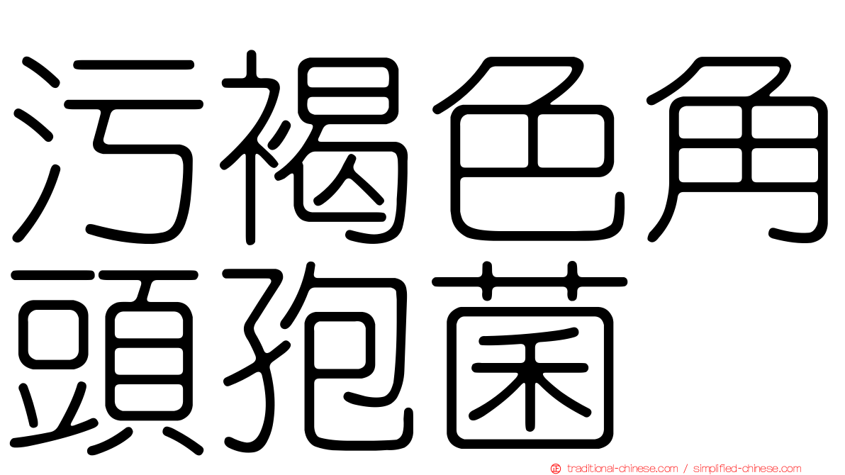 污褐色角頭孢菌