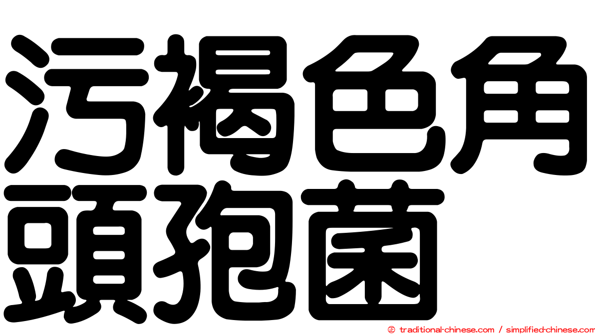污褐色角頭孢菌