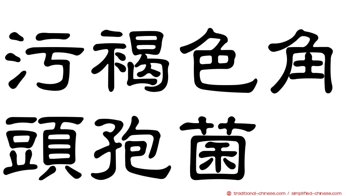 污褐色角頭孢菌