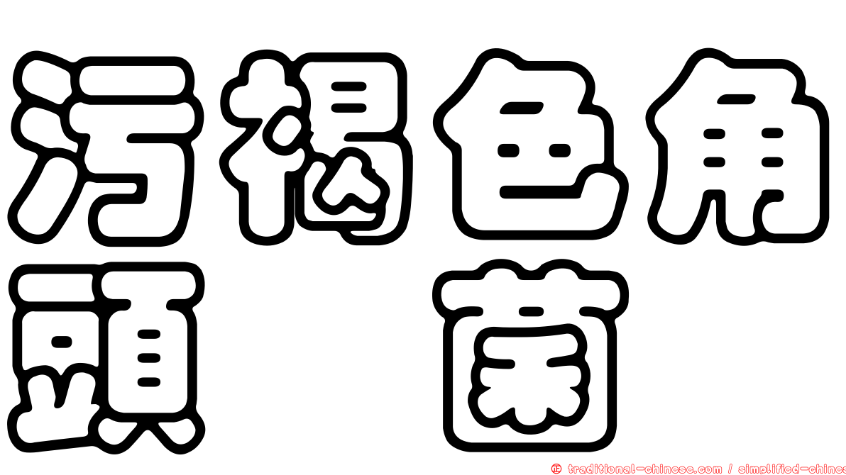 污褐色角頭孢菌