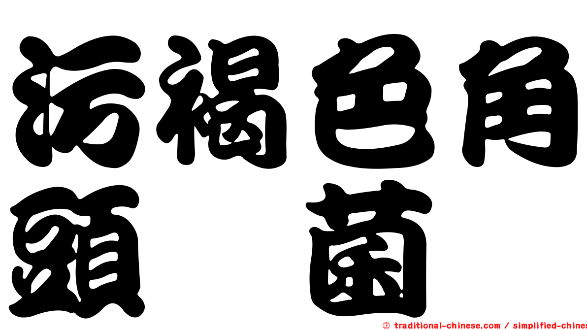 污褐色角頭孢菌