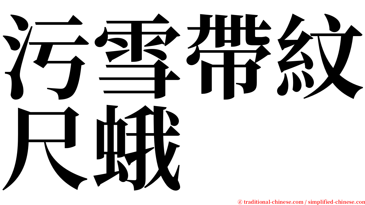 污雪帶紋尺蛾 serif font