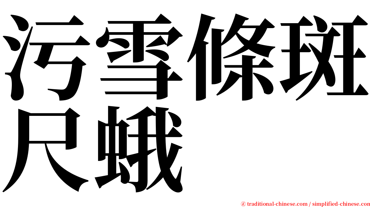 污雪條斑尺蛾 serif font