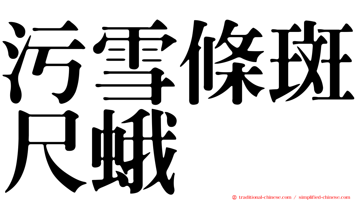 污雪條斑尺蛾