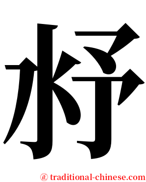 沀 serif font