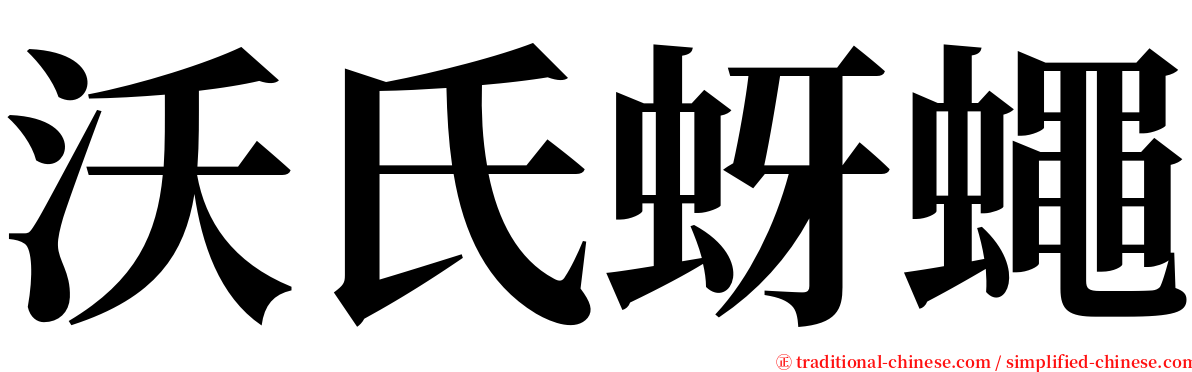 沃氏蚜蠅 serif font
