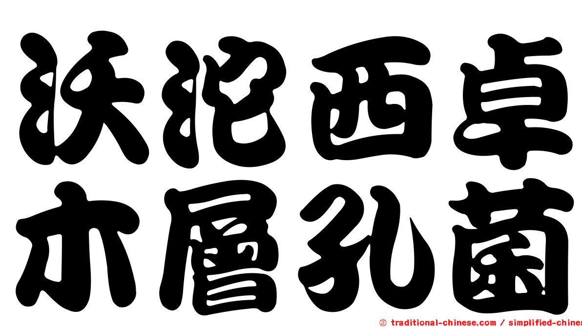 沃沱西卓木層孔菌