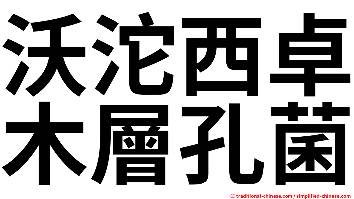 沃沱西卓木層孔菌