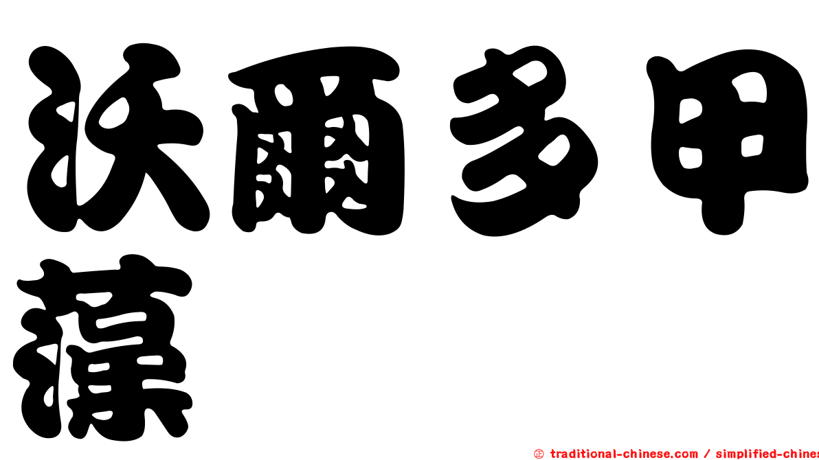 沃爾多甲藻