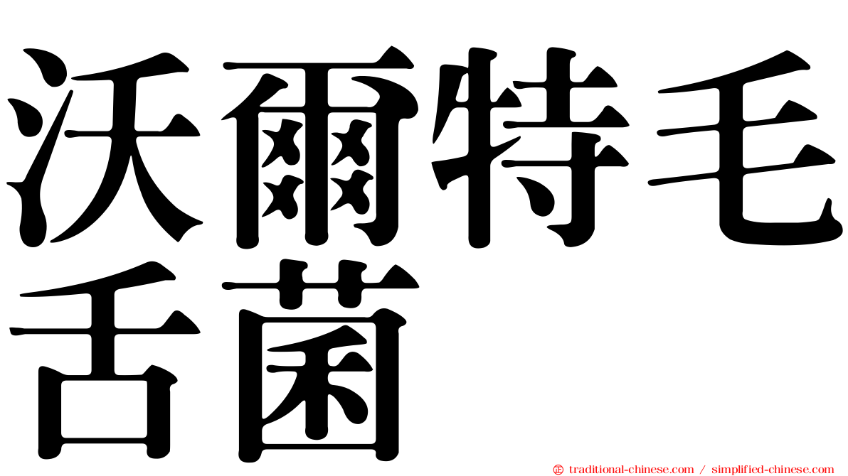 沃爾特毛舌菌
