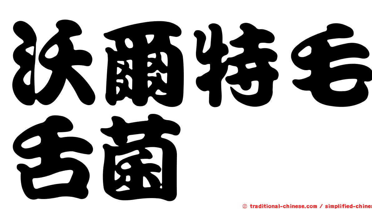沃爾特毛舌菌