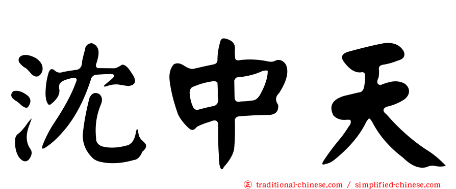沈中天