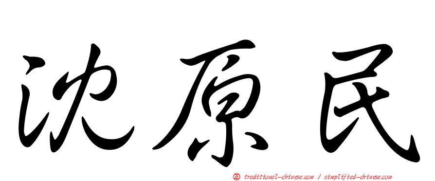 沈原民