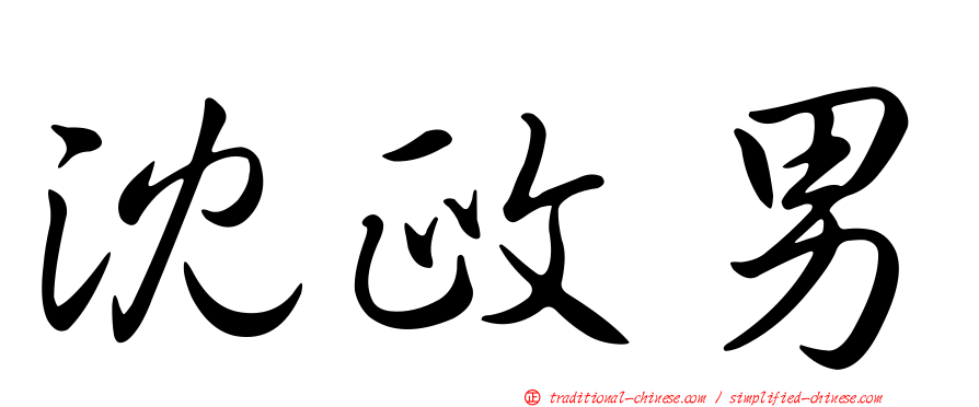 沈政男