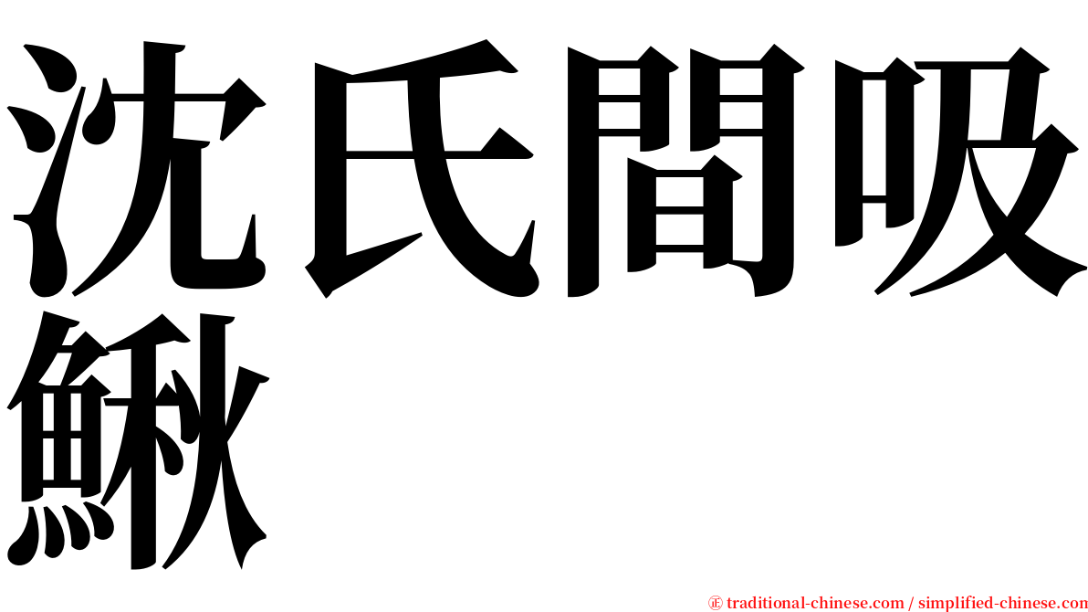 沈氏間吸鰍 serif font