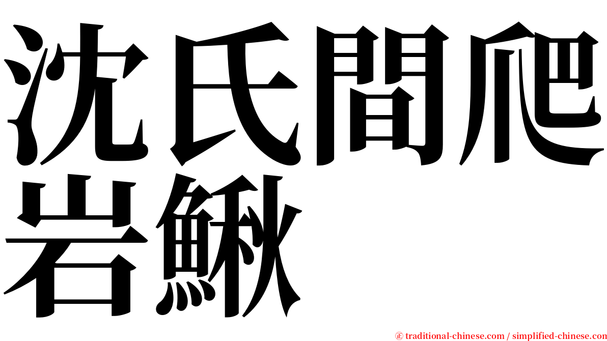 沈氏間爬岩鰍 serif font