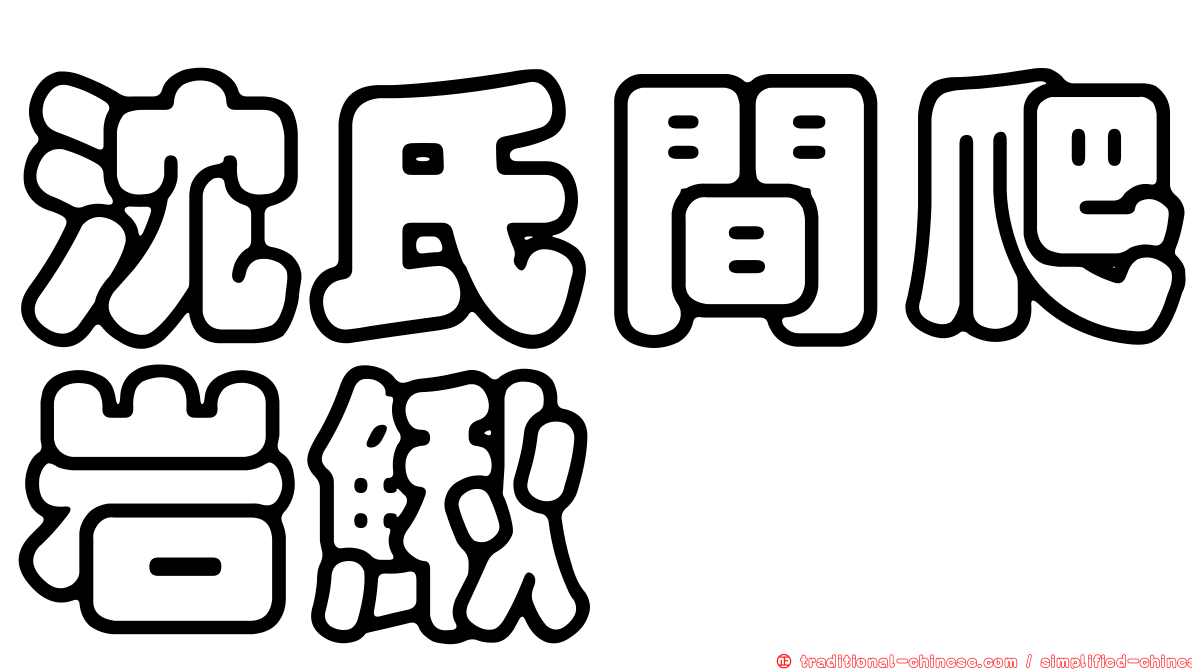 沈氏間爬岩鰍