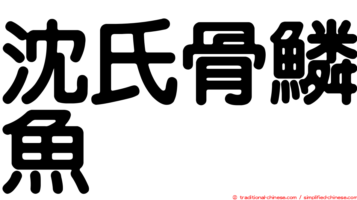 沈氏骨鱗魚