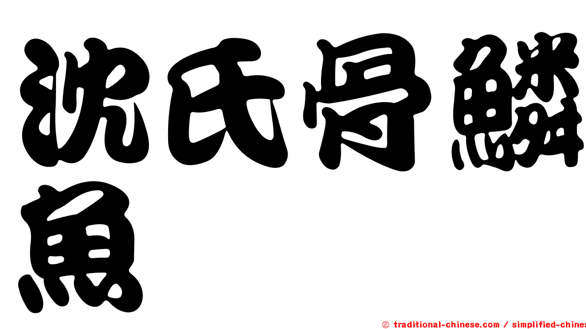沈氏骨鱗魚