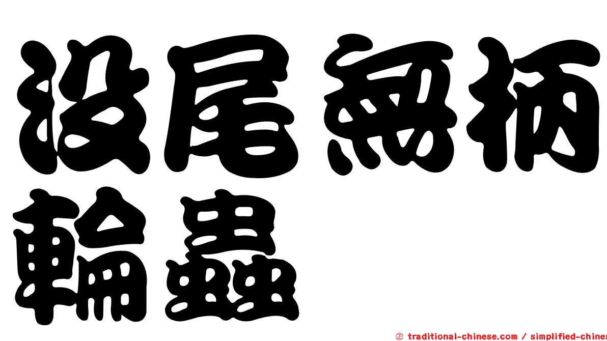 沒尾無柄輪蟲