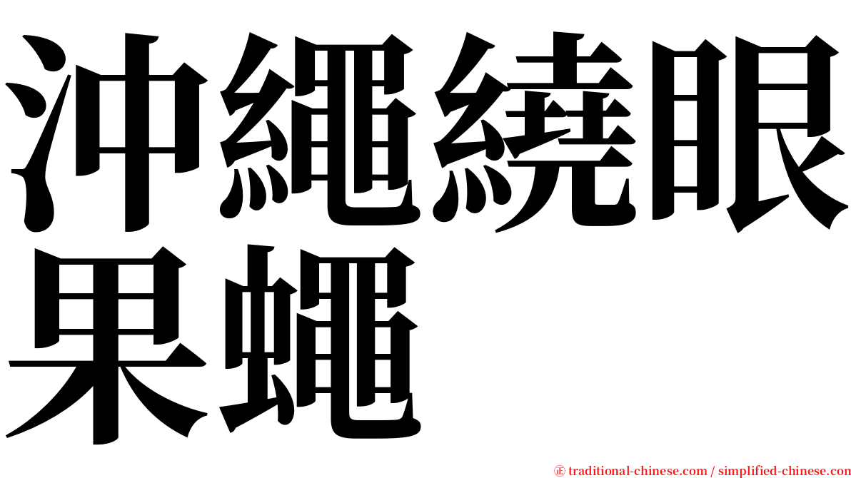 沖繩繞眼果蠅 serif font