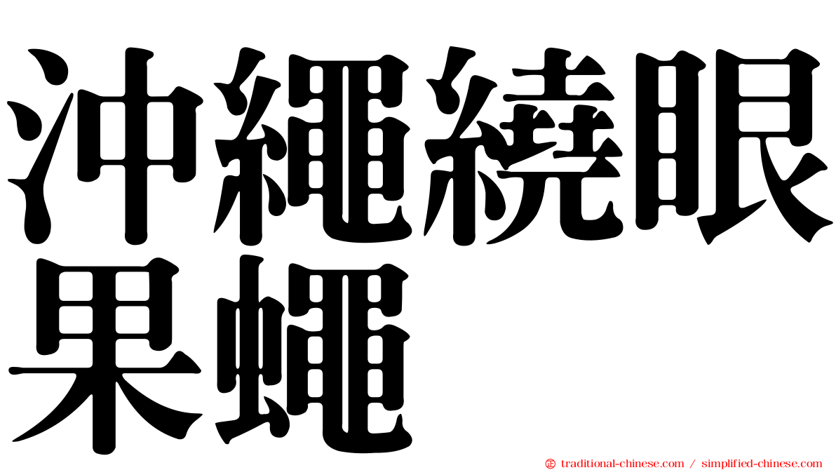 沖繩繞眼果蠅